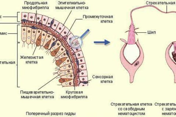 Кракен сайт работает