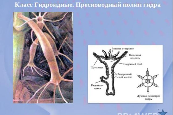 Кракен рабочая ссылка тор