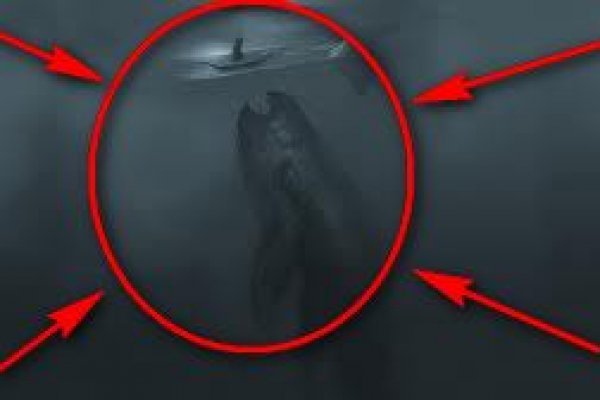 Kraken сайт kraken torion