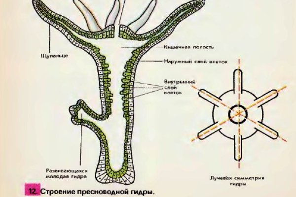 Кракен дарк площадка